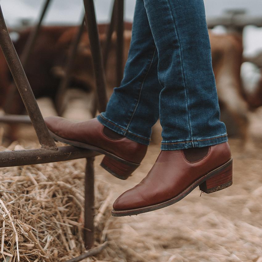 FILLY WOMENS CLASSIC BOOT - CHESTNUT - Ringers Western Toowoomba