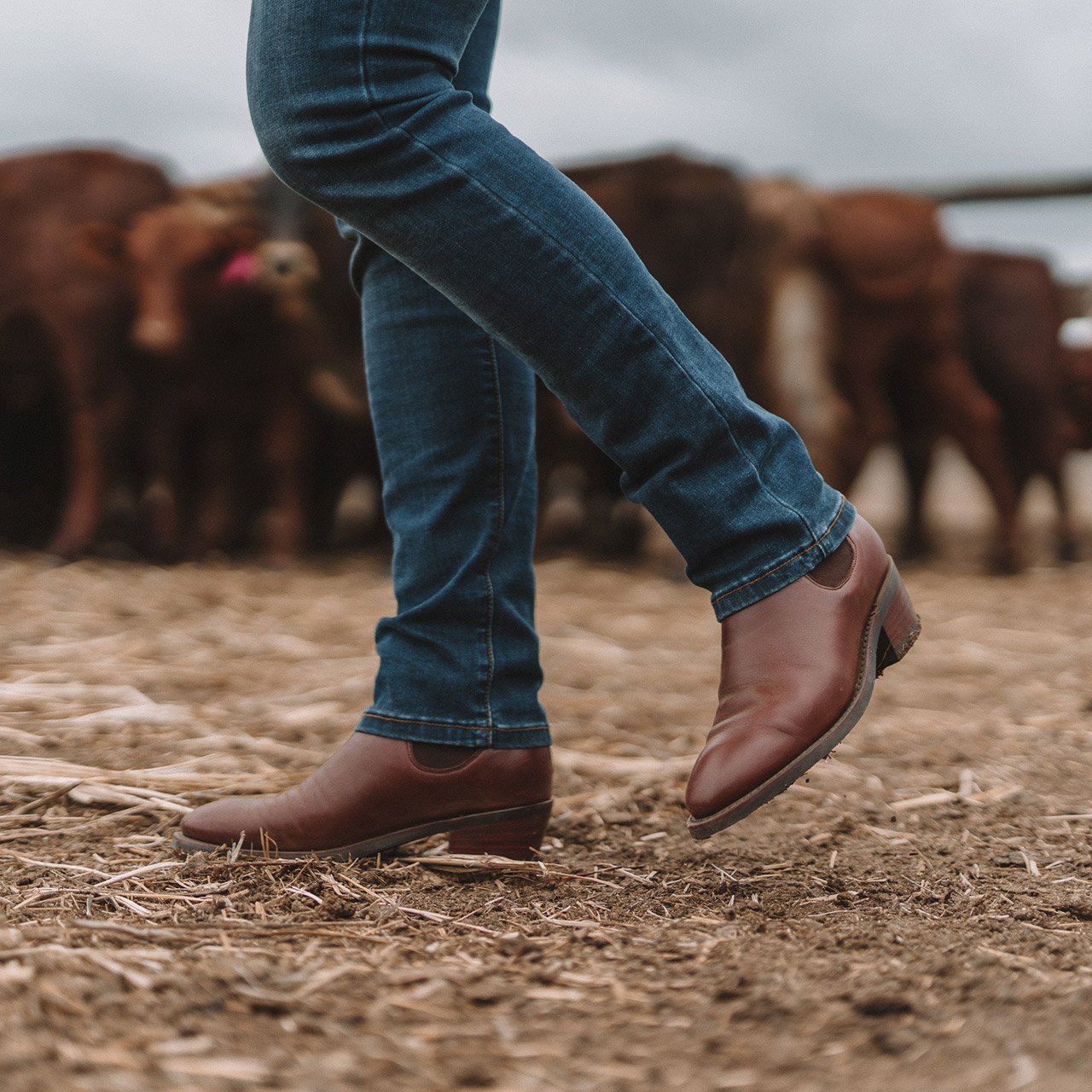 FILLY WOMENS CLASSIC BOOT - CHESTNUT - Ringers Western Toowoomba